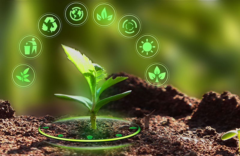 啤嶺機(jī)電設(shè)備（上海）有限公司